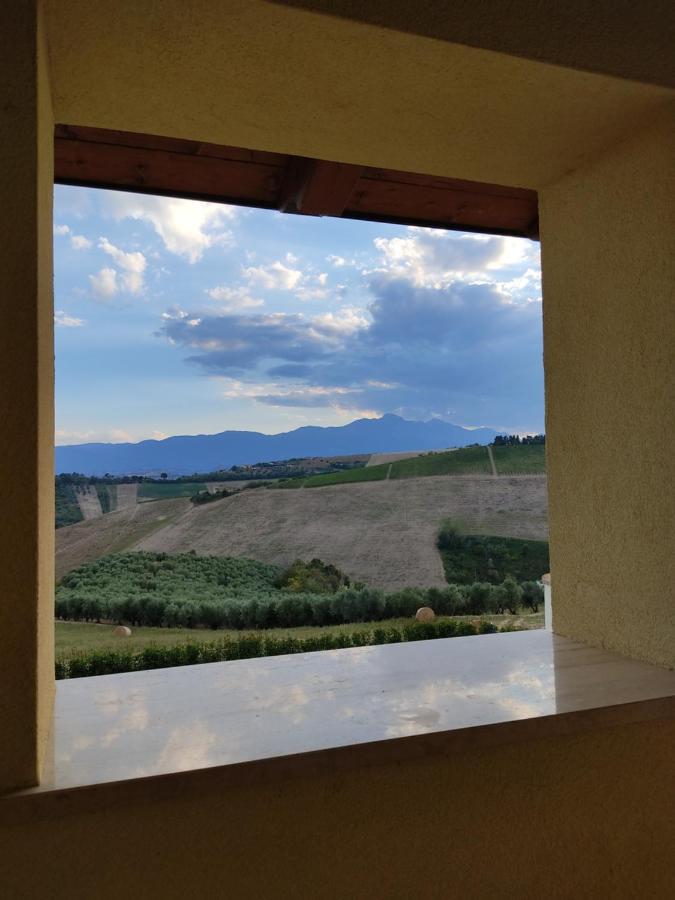 Agriturismo Terra Dei Falchi Castilenti Экстерьер фото